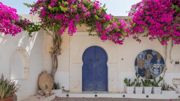 location de voiture en Tunisie